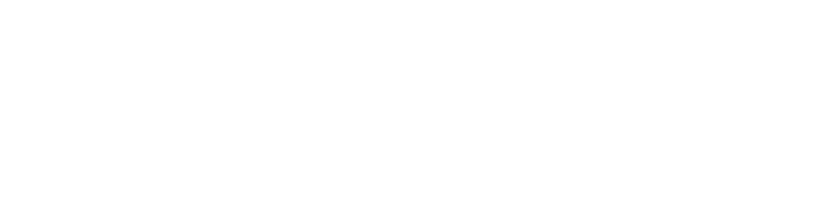ImmiPort